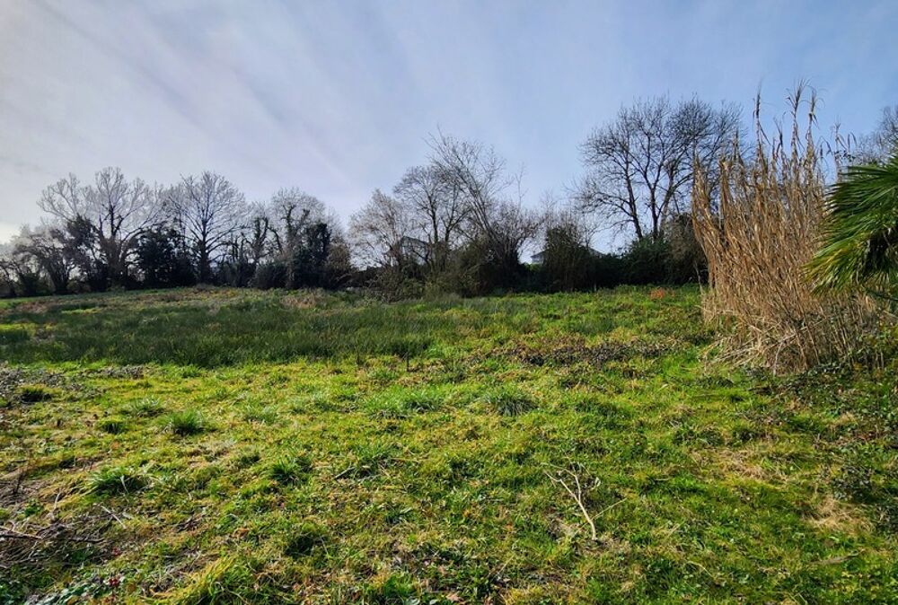 Vente Terrain Terrain à bâtir de 3 822 m² Theze