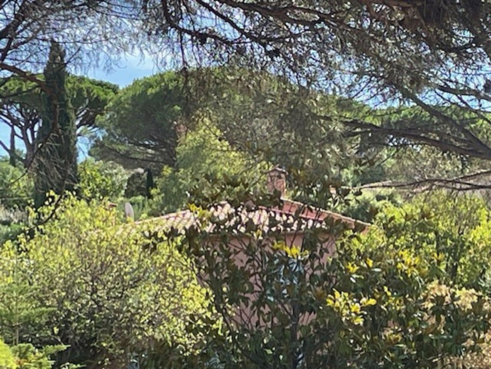  vendre  Maison Sainte-Maxime (83120)