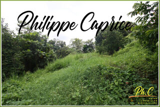  Terrain  vendre 1015 m