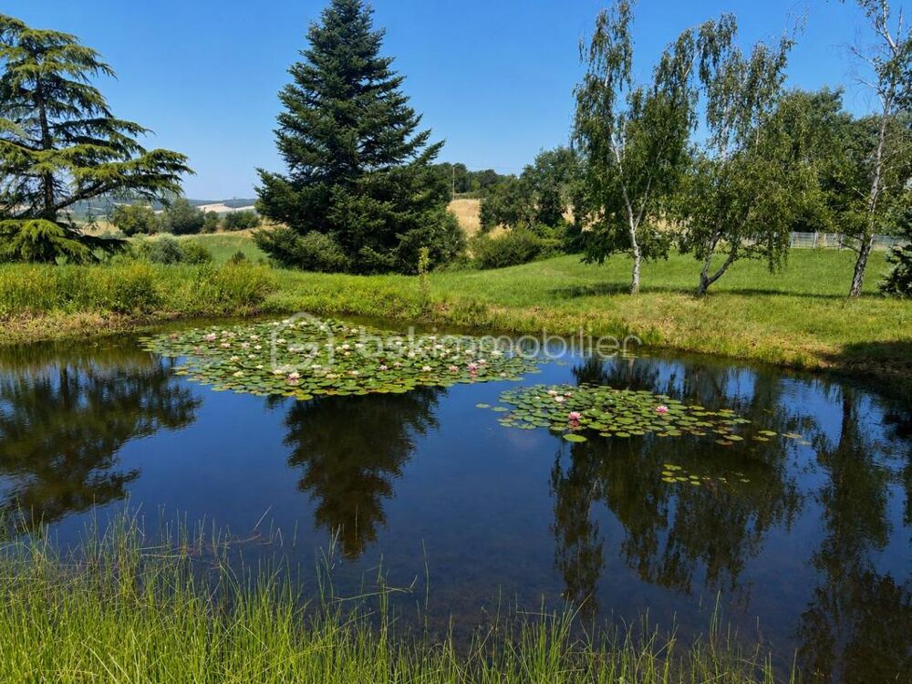 Vente Propriété/Château À 10 mns de Grenade . Magnifique Domaine Grenade