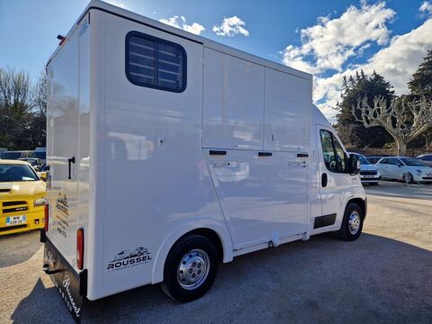  2019 occasion 84300 Cavaillon