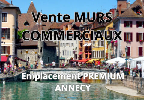Commerces/Negoce 488000 74000 Annecy