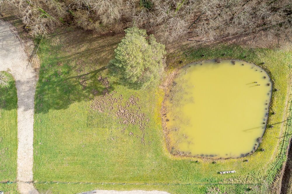 Vente Terrain Terrain constructible - Thenioux, avec un étang - 4322 m²  - Thenioux