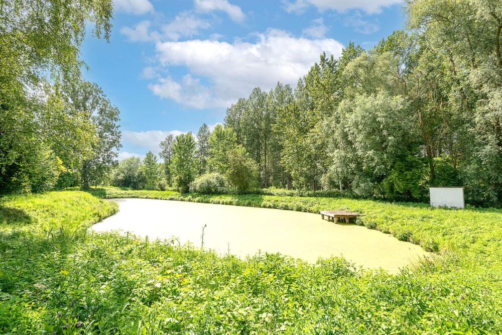 Vente Terrain RARE SUR LE SECTEUR – Étang privé de 1 250 m2 avec chalet sur plus de 3 300 m2 de terrain clos et arboré, aux portes de Saint-Am Millonfosse