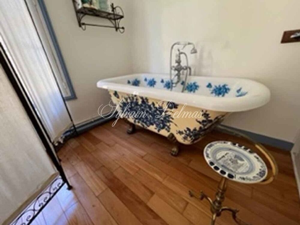 � vendre  Propri�t�/ch�teau Amboise (37400)