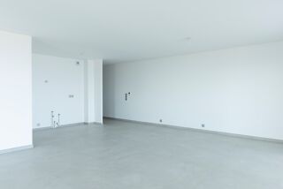 Vente Appartement Appartement à vendre 4 pièces Attique Traversant avec Vue Imprenable sur le Lac Léman EVIAN LES BAINS (74) Evian les bains