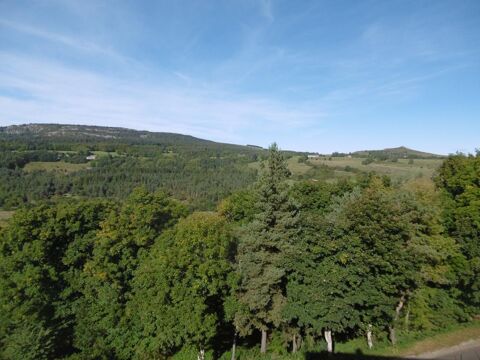  Appartement � louer 3 pi�ces 50 m�