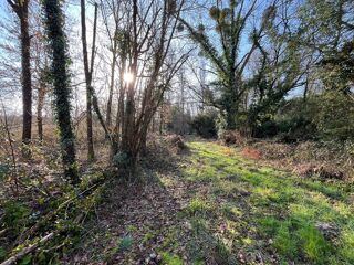  Terrain � vendre 10895 m�