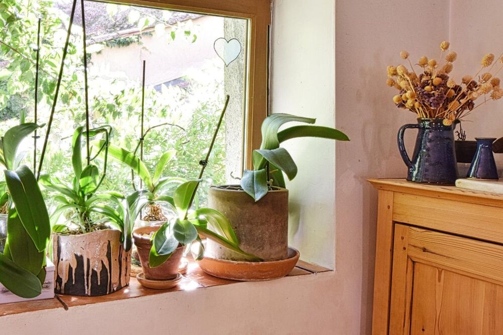 Vente Maison Élégante maison de caractère avec terrasse au cœur du centre historique Clermont l herault