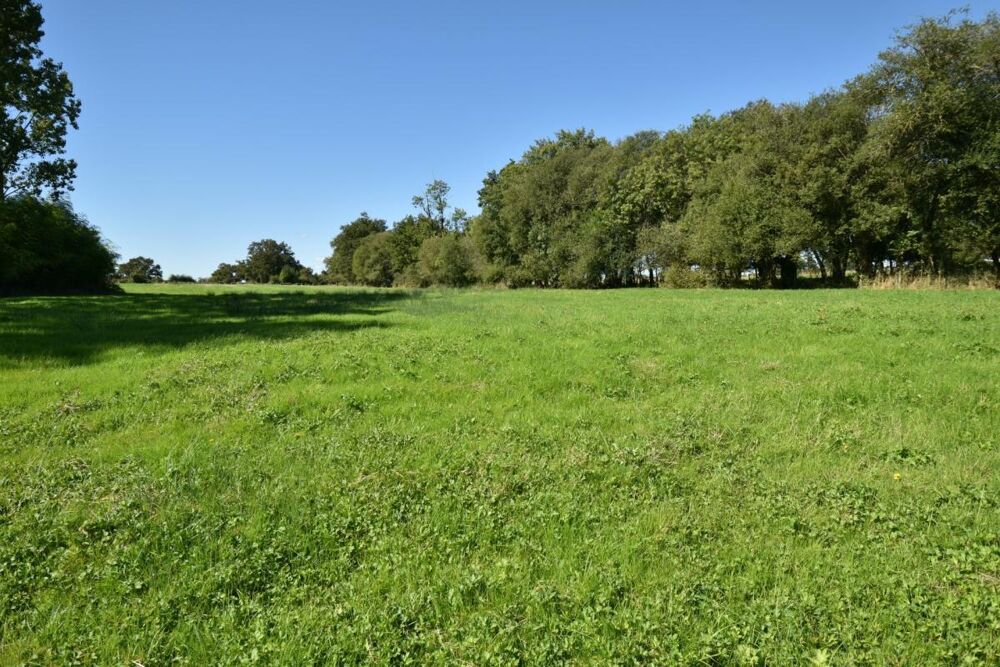 Vente Terrain TERRAIN DE LOISIR AVEC ÉTANG SUR 2 ha Ancenis