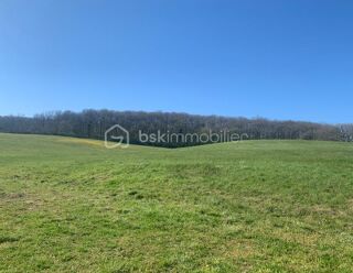  Maison à vendre 15 + pièces 1200 m²