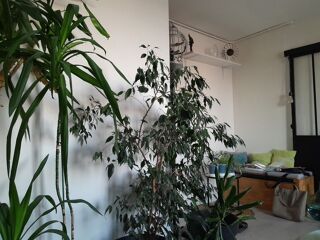  Appartement � louer 1 pi�ce 10 m�