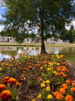  Maison � vendre 4 pi�ces 380 m�