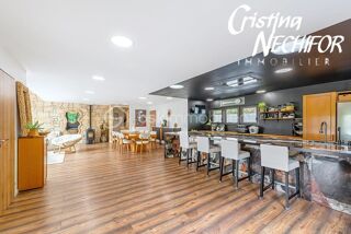  Propriété/château à vendre 8 pièces 267 m²