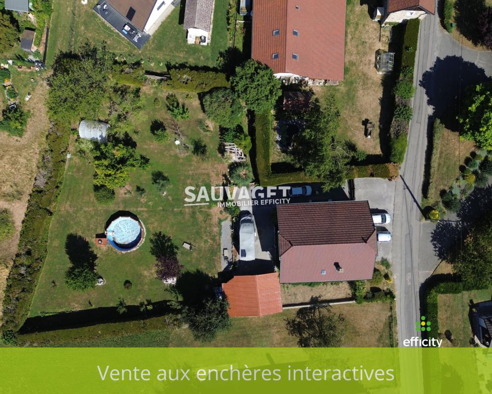 Vente Maison Maison individuelle Amancy
