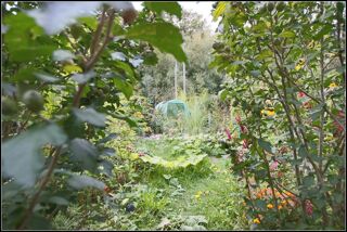  Maison � vendre 4 pi�ces 70 m�