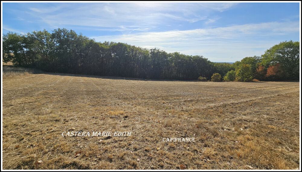 Vente Terrain EXCLUSIVITÉ – TERRAIN AVEC BOIS DE 5076 M²- VIABILISÉ - À BIRAN – BELLE EXPOSITION SUD Biran