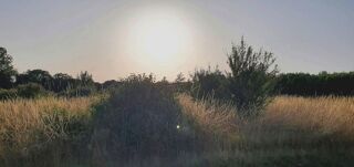  Terrain  vendre 1465 m