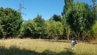  Terrain à vendre 784 m²