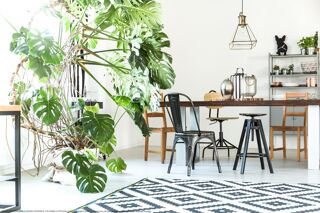  Appartement � vendre 3 pi�ces 66 m�