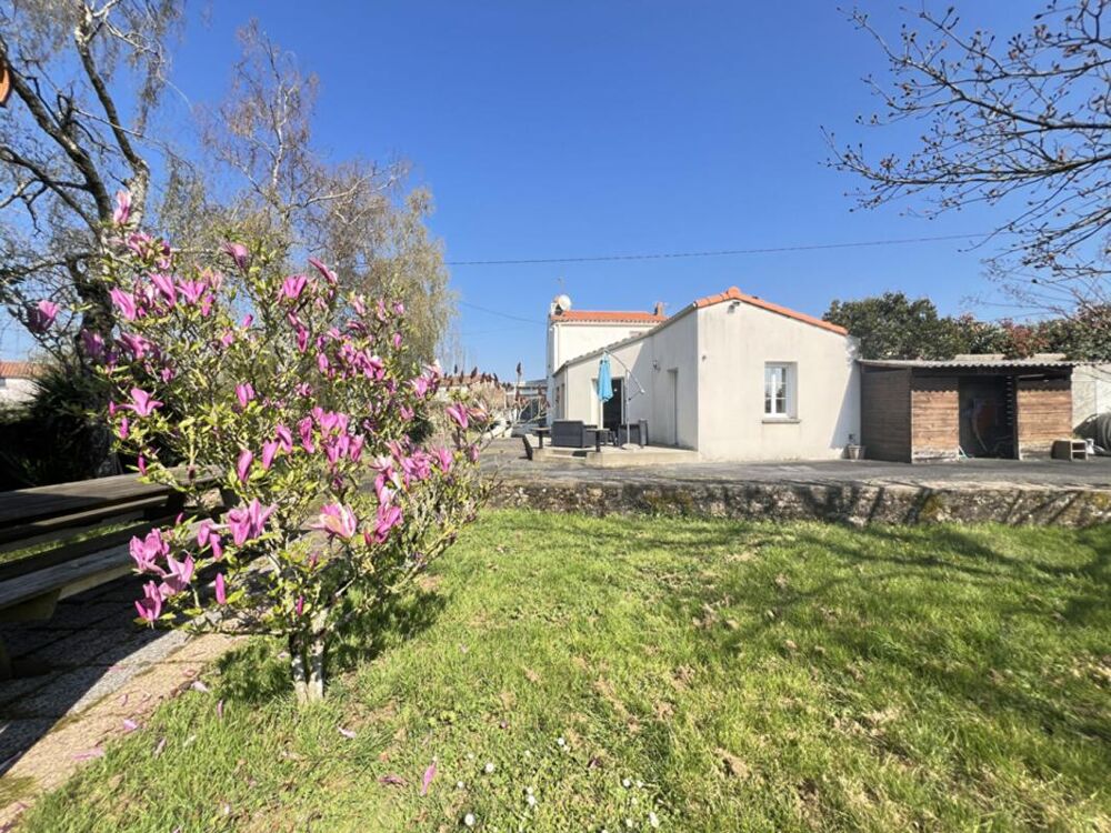 Vente Maison Maison Sevremoine 6 pièce(s) 141 m2 Sevremoine