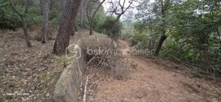  Terrain � vendre 3684 m�