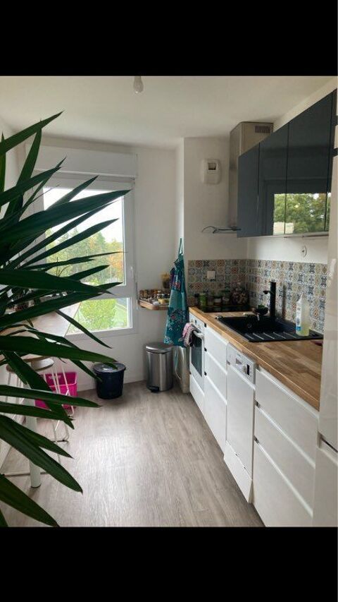  Appartement � louer 2 pi�ces 48 m�