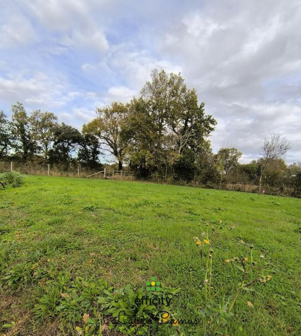 Vente Terrain Terrain Talmont saint hilaire