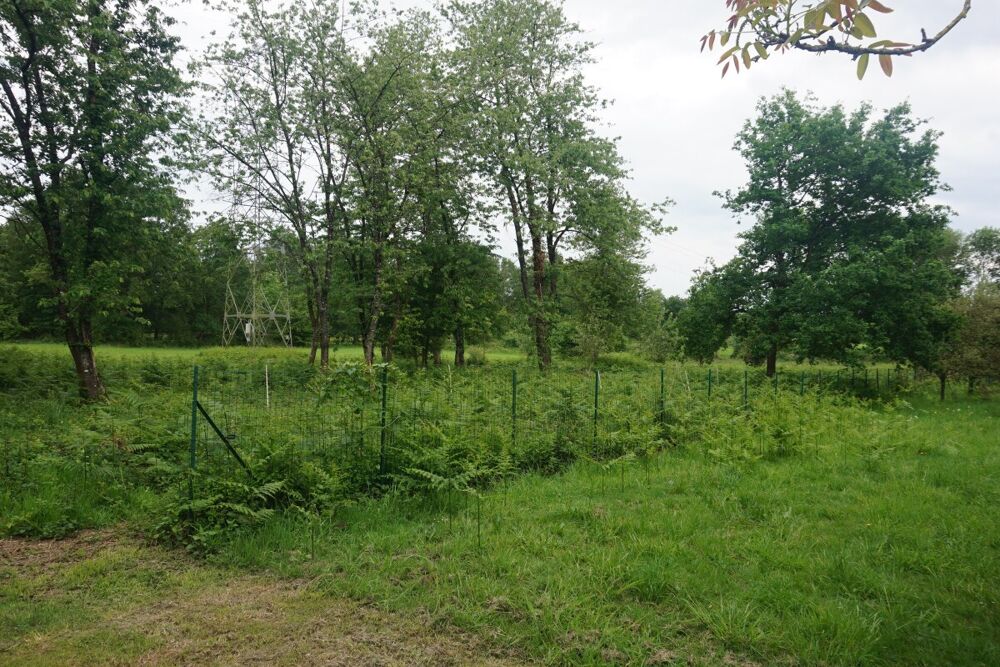 Vente Maison Maison - Québriac - 140m² Quebriac