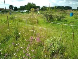  Terrain � vendre 715 m�