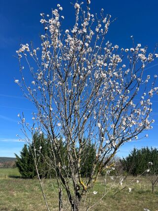  Terrain � vendre 2600 m�