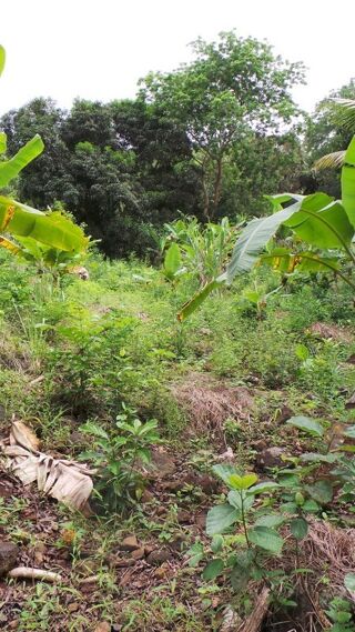  Terrain � vendre 3328 m�