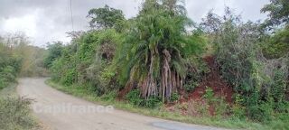  Terrain � vendre 7647 m�