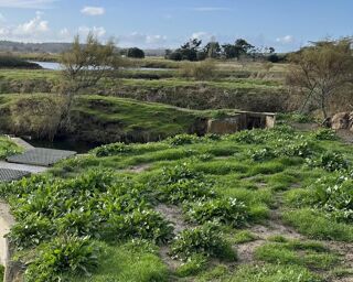  Terrain � vendre 11140 m�