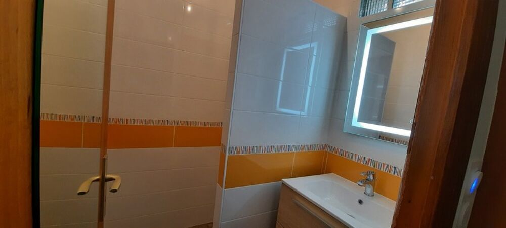 � vendre  Propri�t�/ch�teau Boyardville (17190)