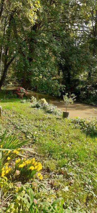  Propriété/château à vendre 10 pièces 400 m²