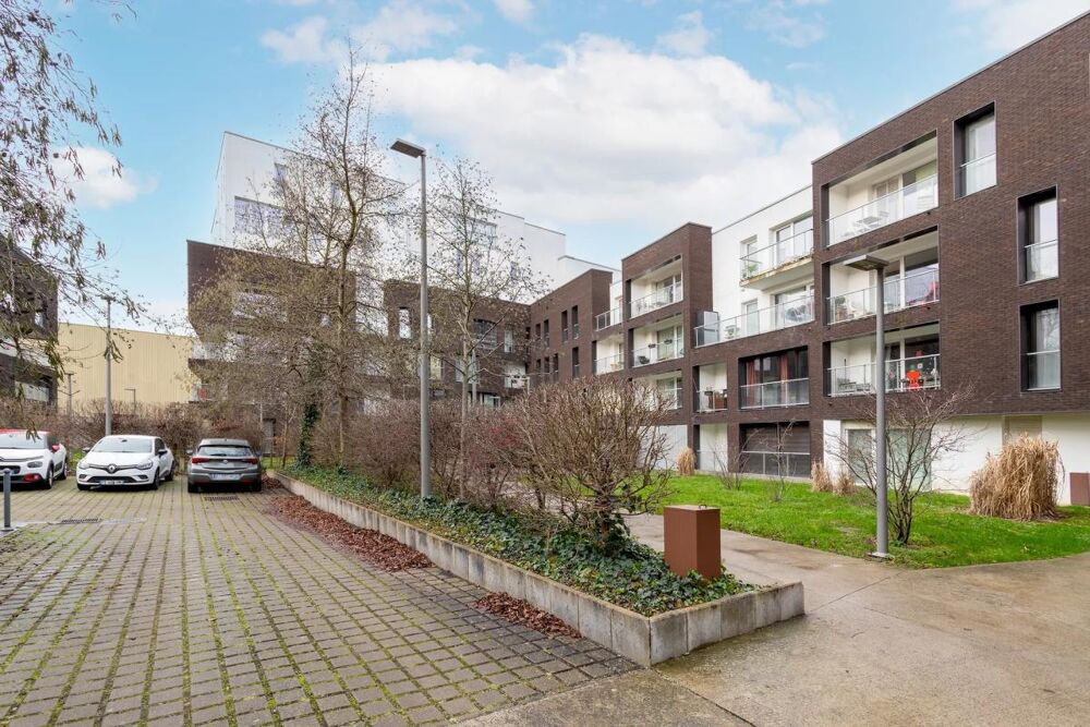 Lille Bois-Blancs : T2 moderne avec terrasse