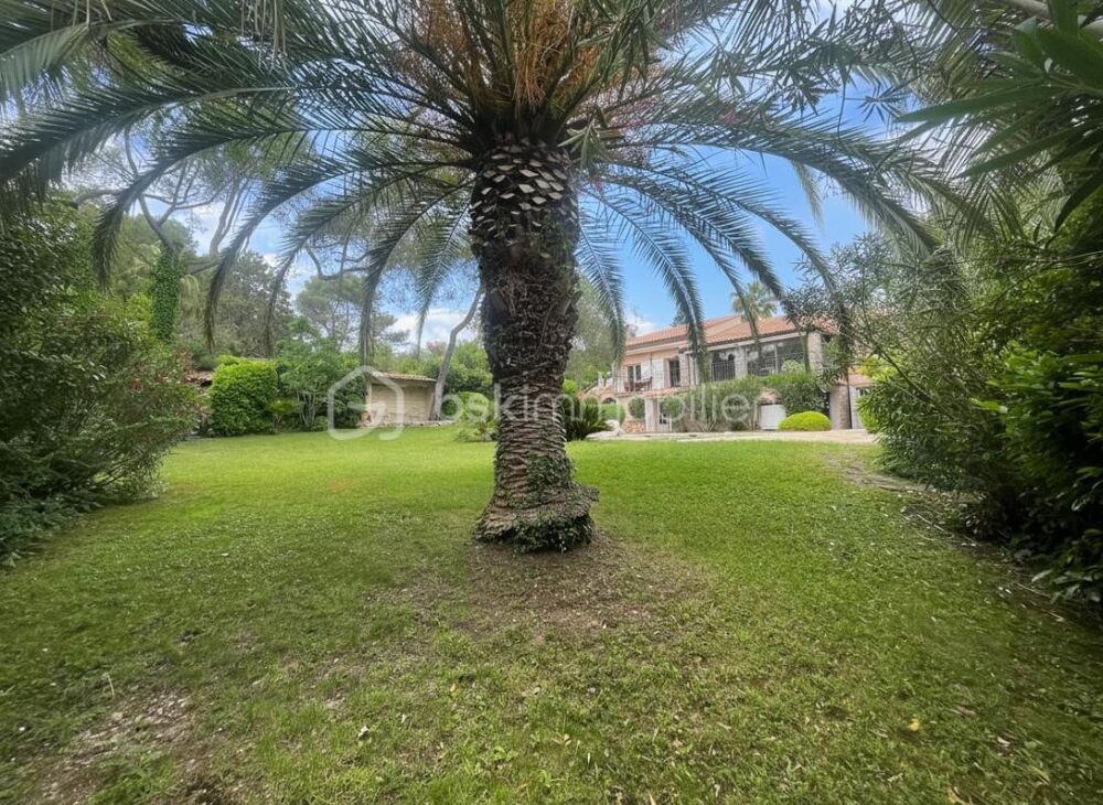  vendre  Villa Mougins (06250)