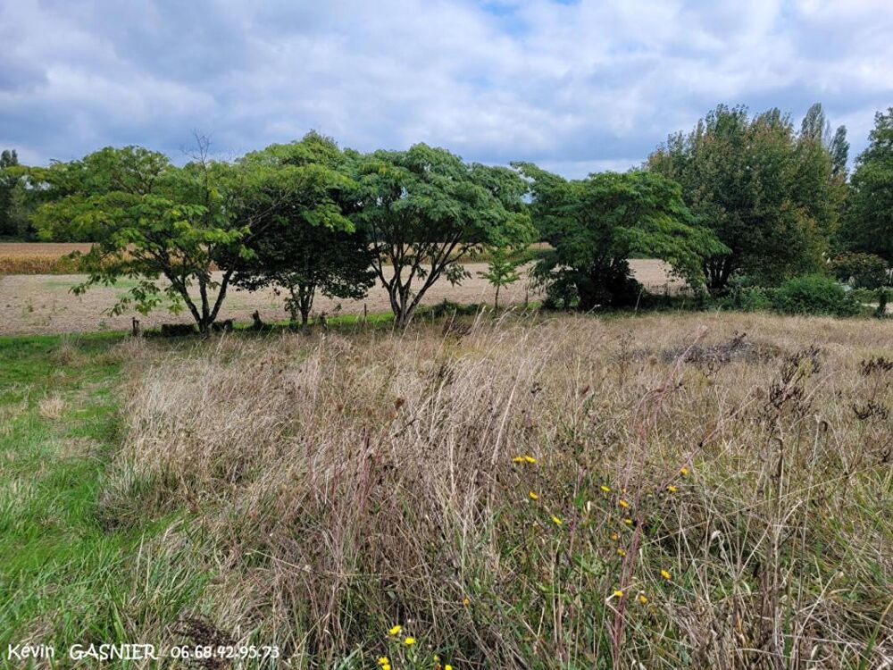 Vente Terrain LINARS (16730) : Terrain constructible de 830m2 Linars