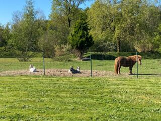  Maison  vendre 6 pices 181 m