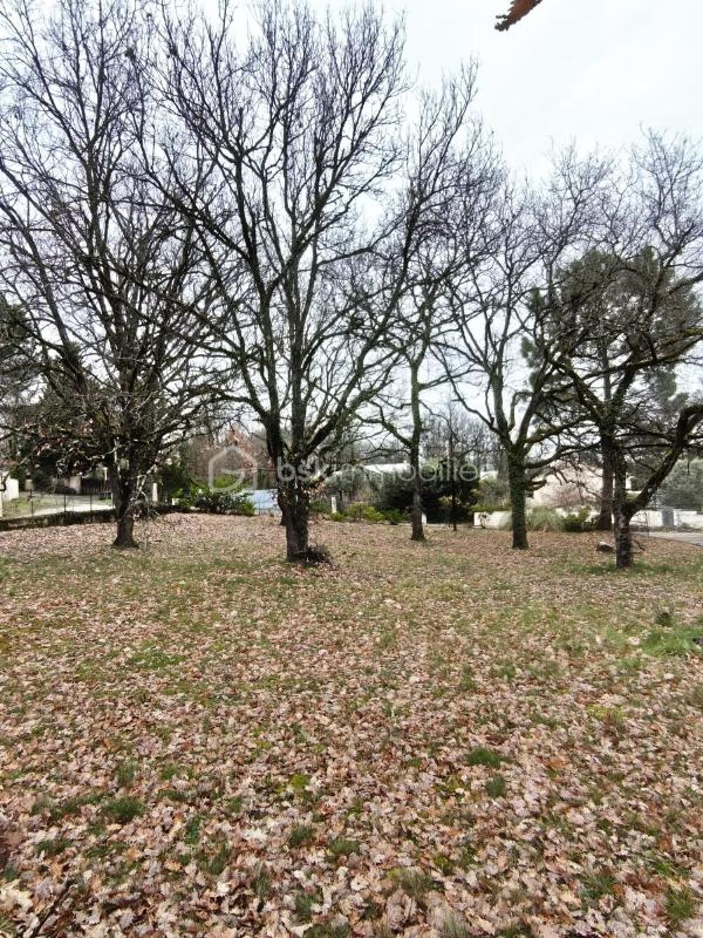 Vente Terrain VENDS TERRAIN CONSTRUCTIBLE DE 901 M2 A BOULOC Bouloc