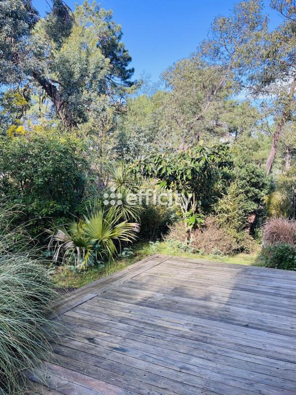 � vendre  Maison Lacanau (33680)