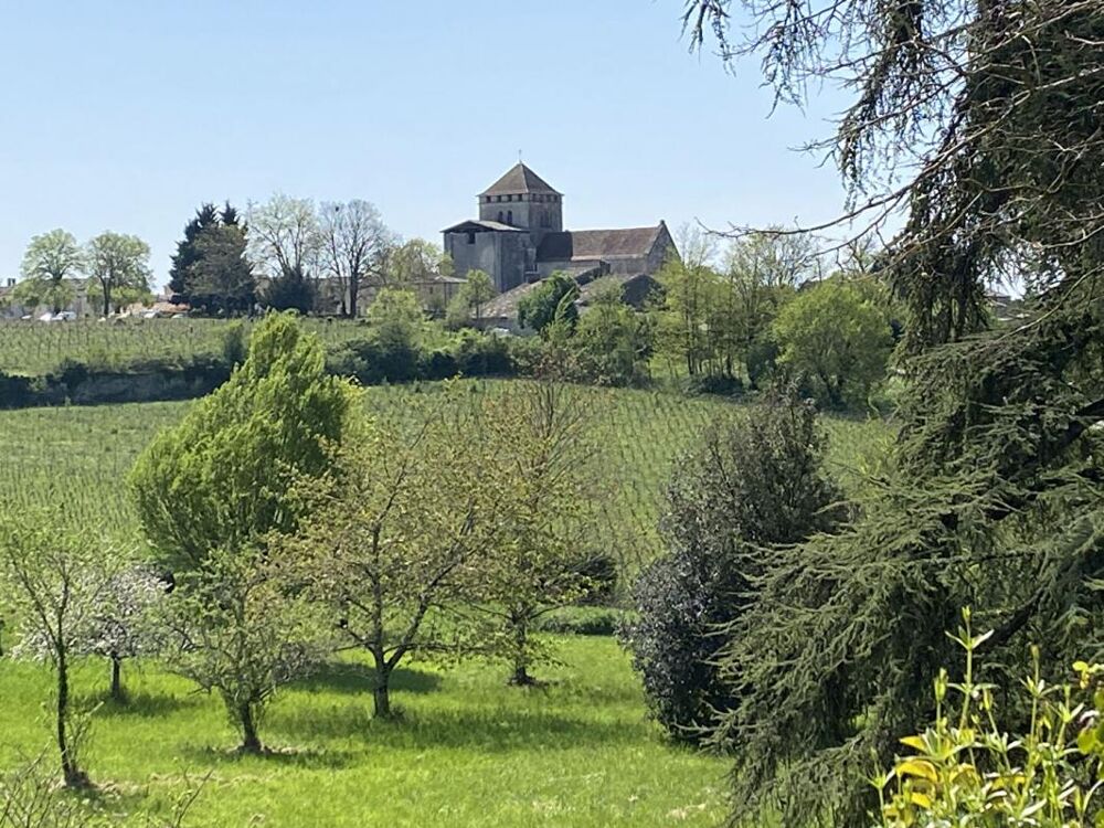  vendre  Proprit/chteau Montagne (33570)