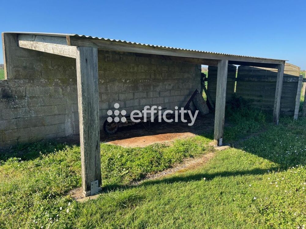 Vente Terrain Terrain Talmont saint hilaire