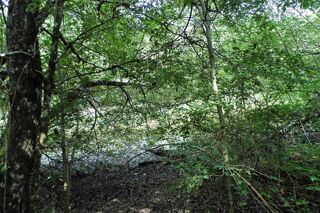  Terrain � vendre 464000 m�