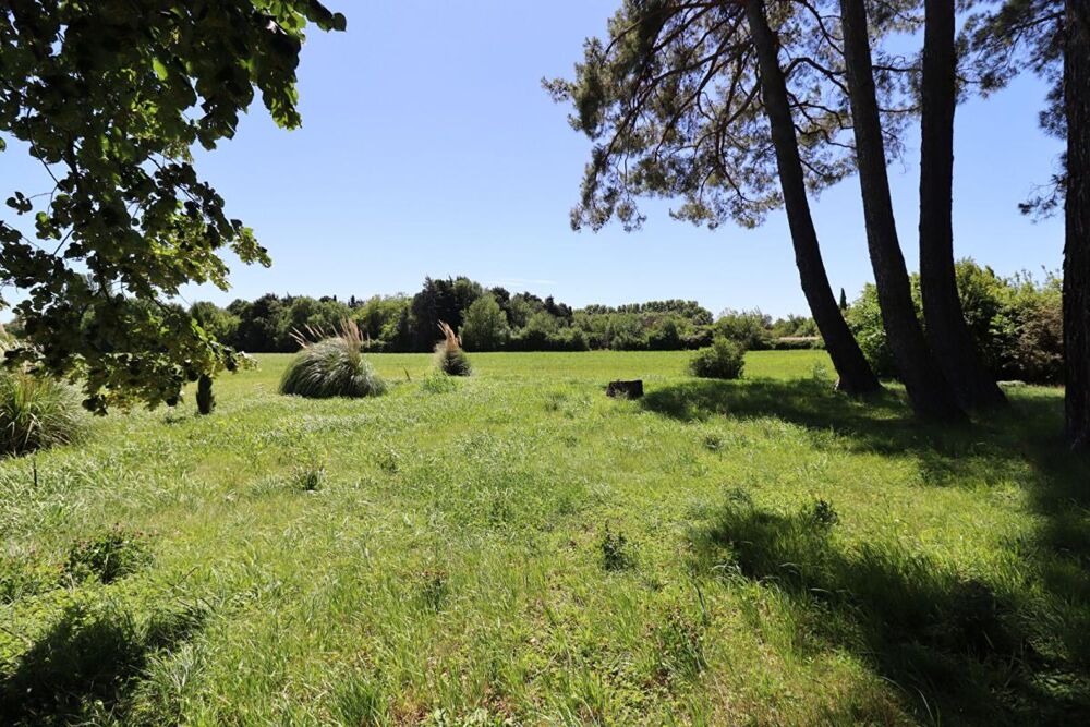 Vente Maison Maison Montfavet 9 pièce(s) 280 m2 Montfavet