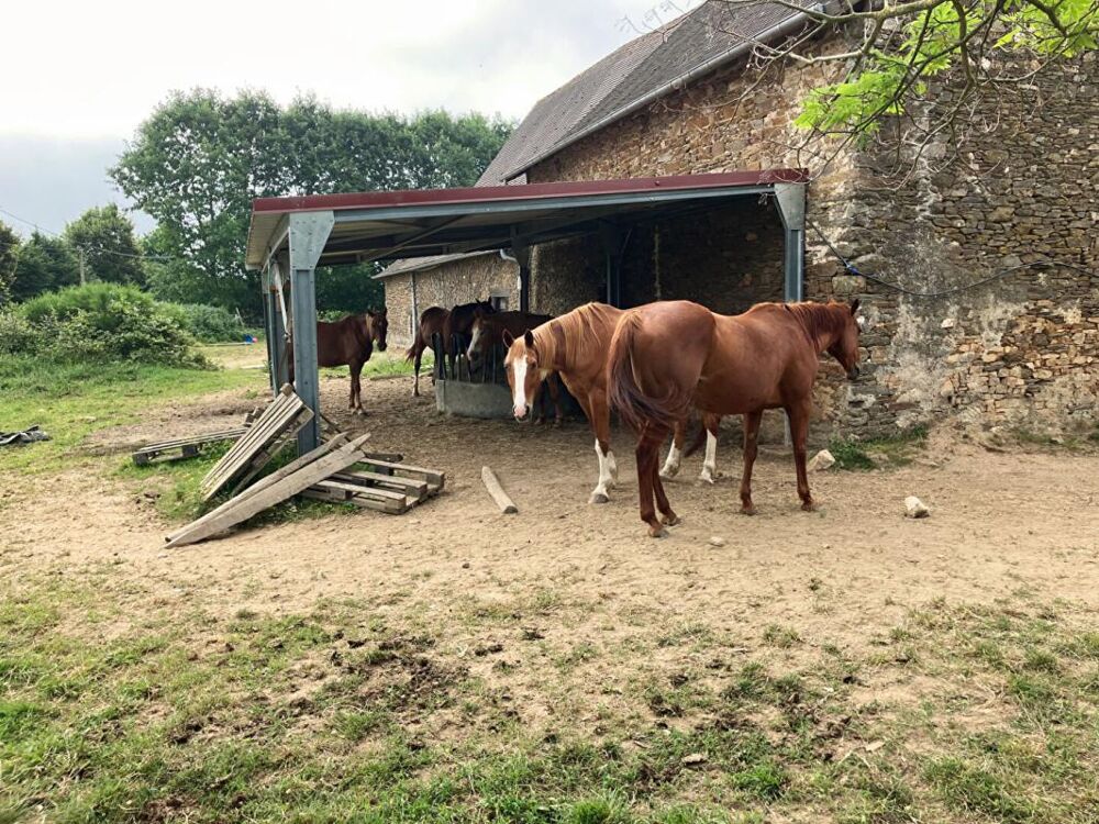 Propriete equestre à Jumilhac Le Grand
