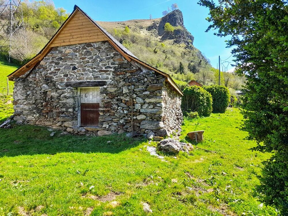 Vente Remise/Grange Deux granges à rénover dans les montagnes Ossaloises Eaux bonnes