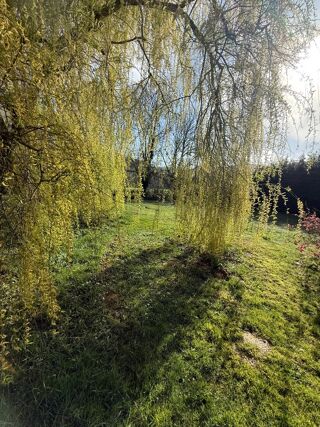  Maison � vendre 10 pi�ces 215 m�