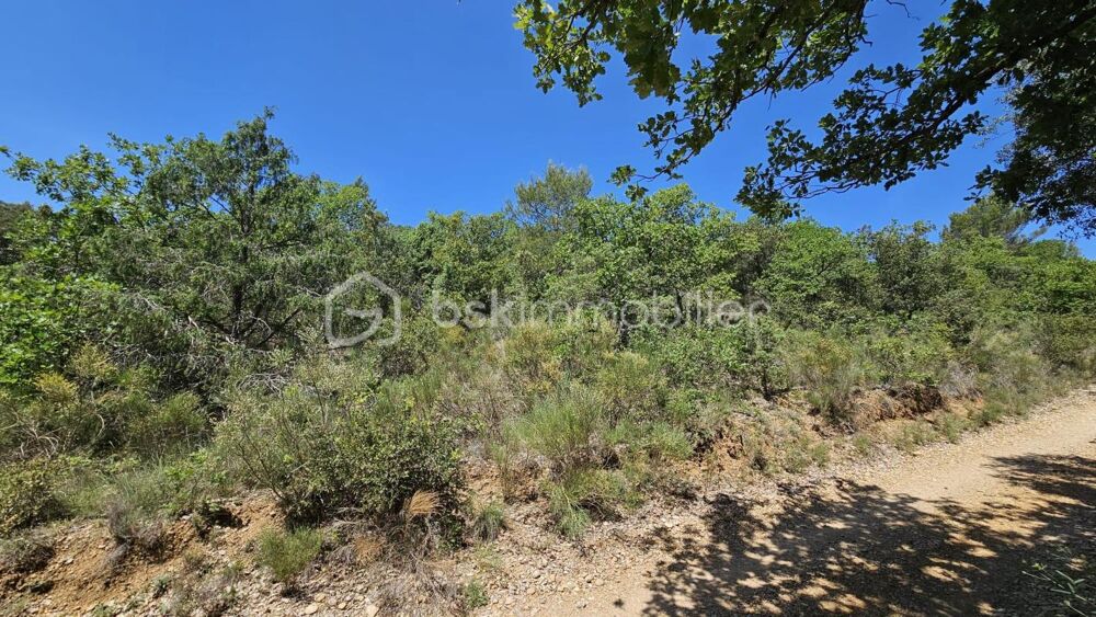 Vente Terrain TERRAIN NON CONSTRUCTIBLE - BRUNET 04210 Brunet